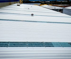 WhatsApp Image 2025-05-21 at 4.14.24 PM