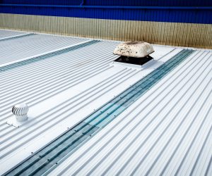 WhatsApp Image 2025-05-21 at 4.14.25 PM