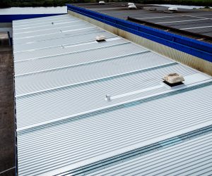 WhatsApp Image 2025-05-21 at 4.14.27 PM