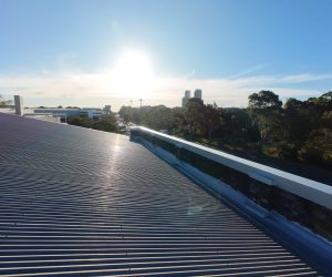 WhatsApp Image 2025-07-19 at 5.22.31 PM (1)