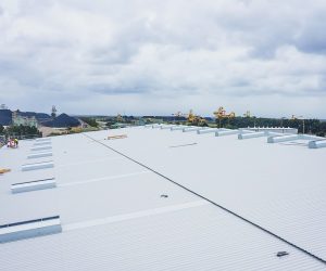 screen_fb8f4f8ec0625c81_1731638754401